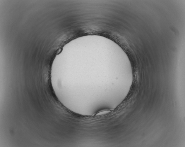 X0000113561012200910161452