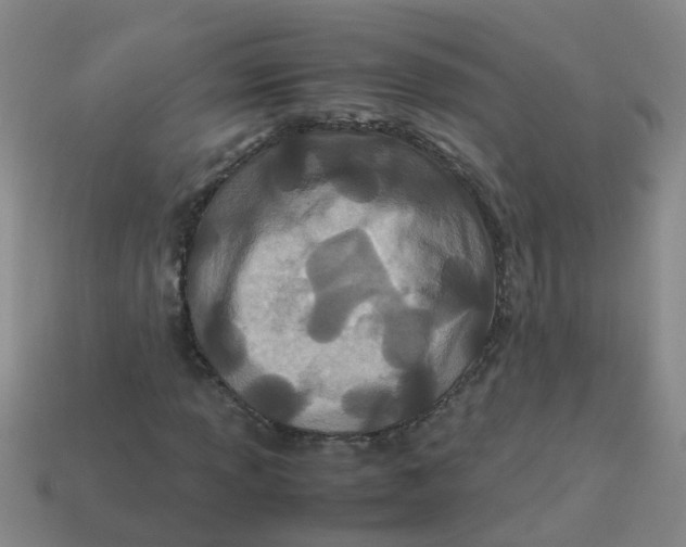 X0000113561013200910161452