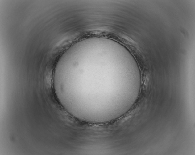 X0000113561014200910161452