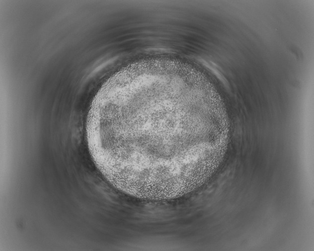 X0000113561015200910161452