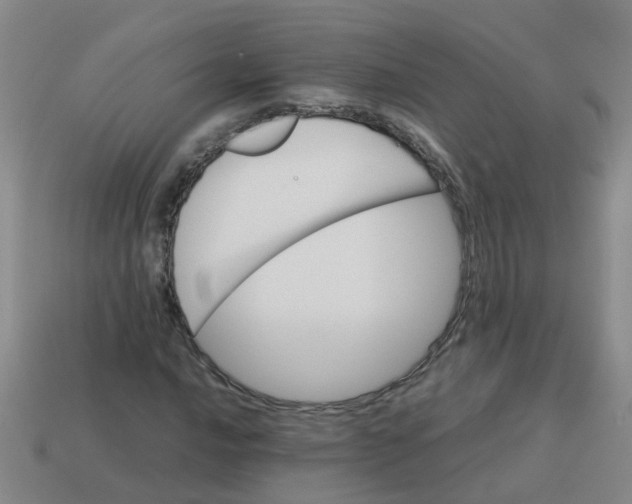 X0000113561016200910161452