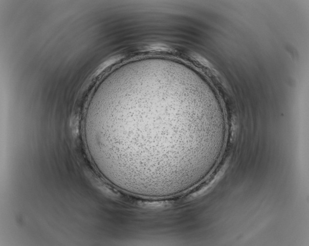 X0000113561017200910161452