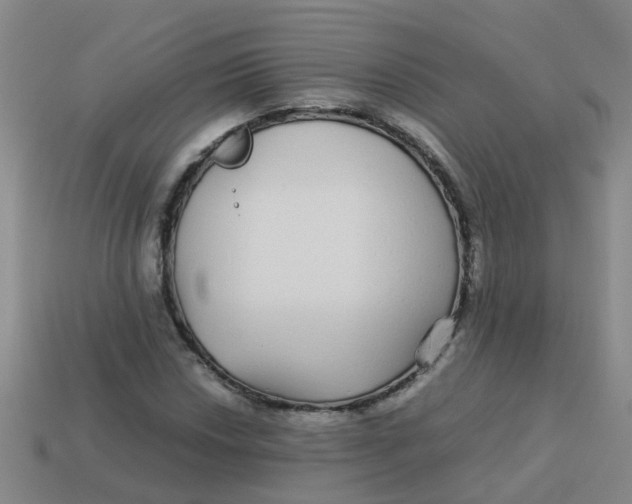 X0000113561018200910161452