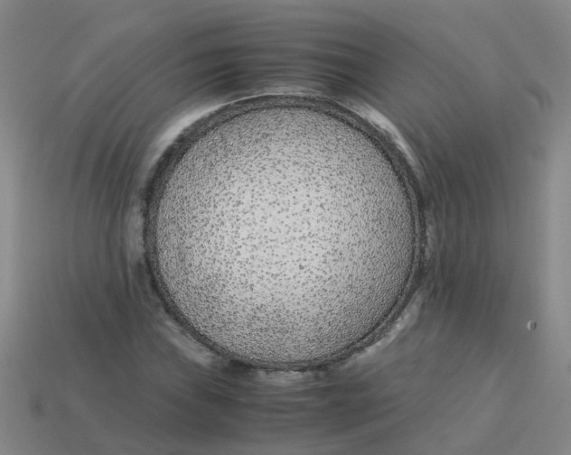 X0000113561019200910161452
