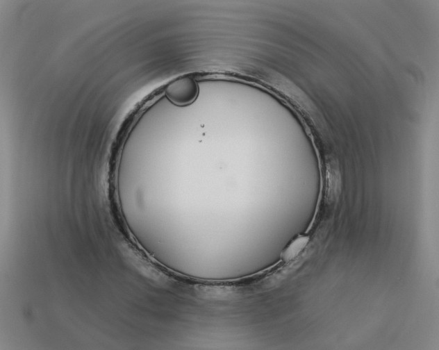 X0000113561020200910161452