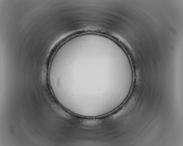 X0000113561021200910161452