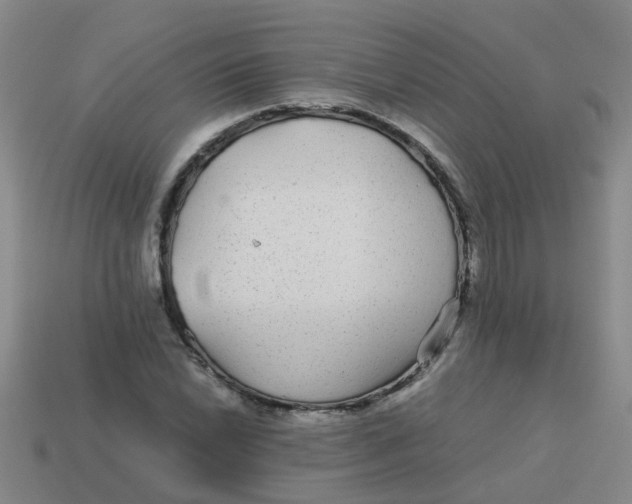 X0000113561022200910161452