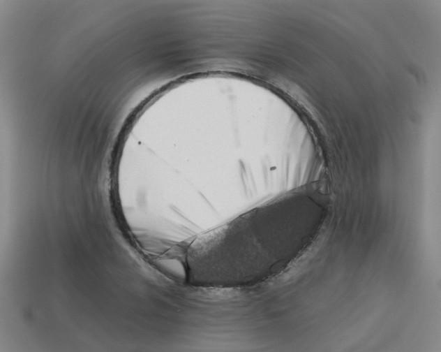 X0000113561024200910161452