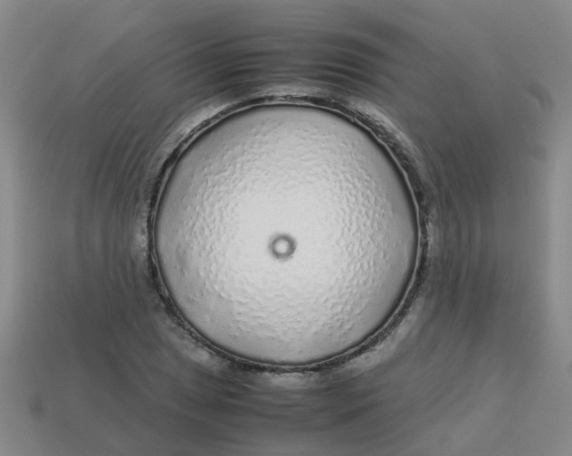 X0000113561025200910161452