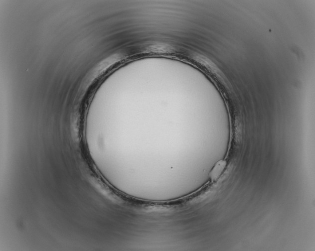 X0000113561026200910161452