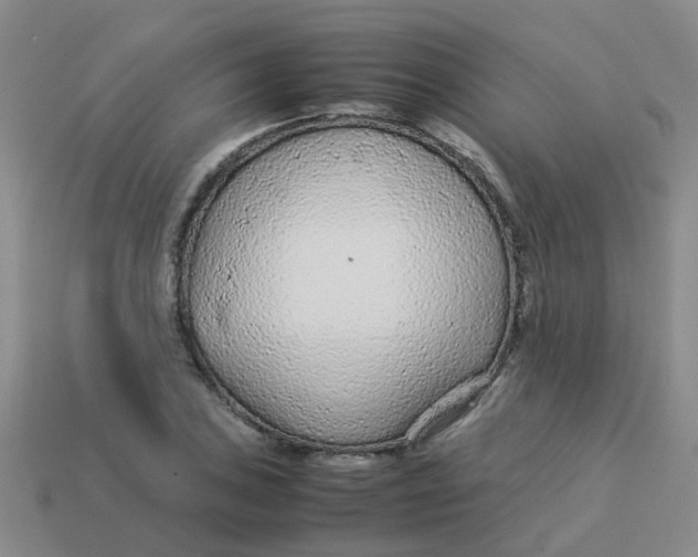 X0000113561027200910161452