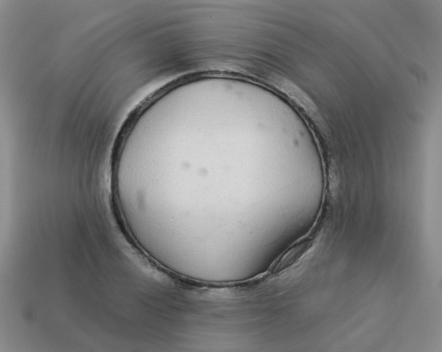 X0000113561028200910161452