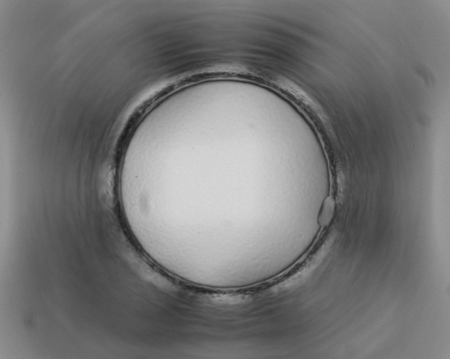 X0000113561029200910161452