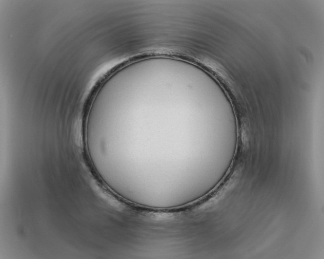 X0000113561030200910161452