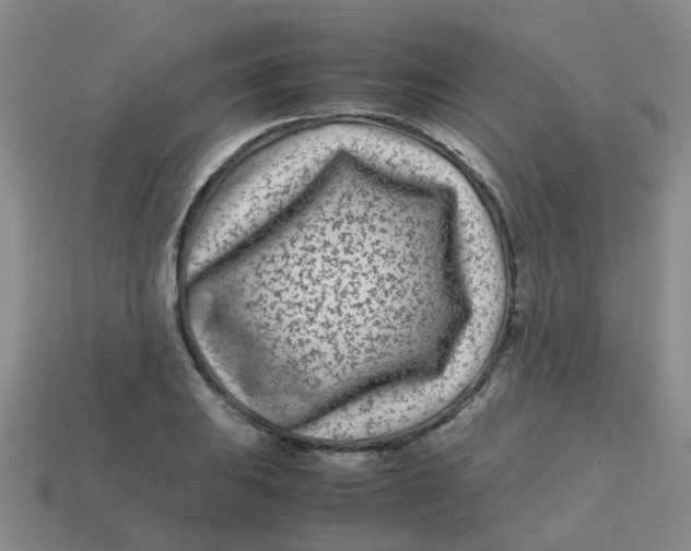 X0000113561031200910161452