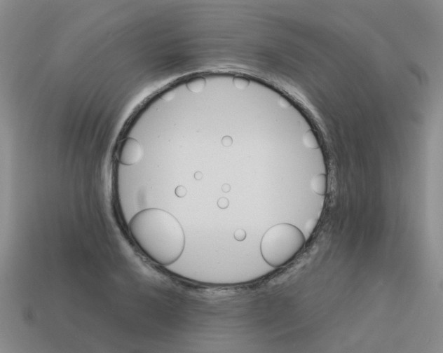X0000113561032200910161452