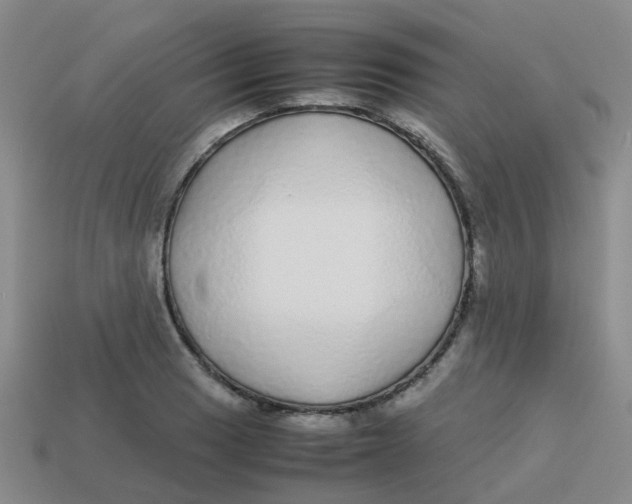 X0000113561033200910161452