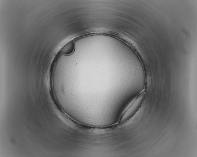 X0000113561034200910161452