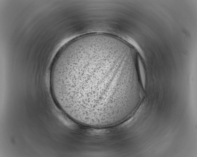 X0000113561035200910161452