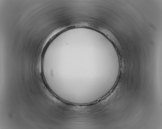 X0000113561036200910161452