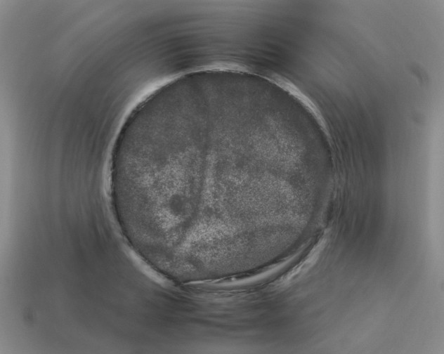 X0000113561037200910161452
