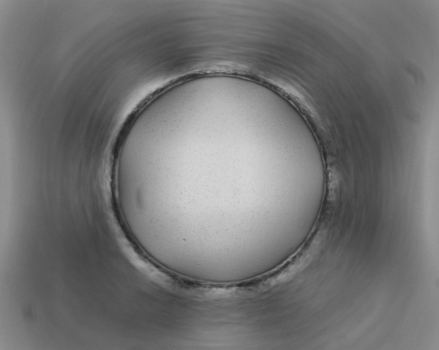 X0000113561038200910161452