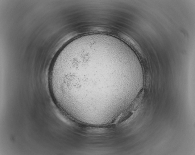X0000113561039200910161452