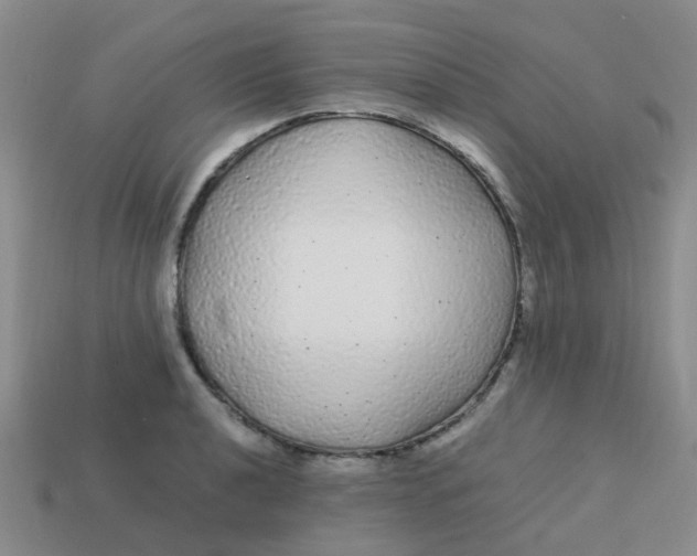 X0000113561040200910161452