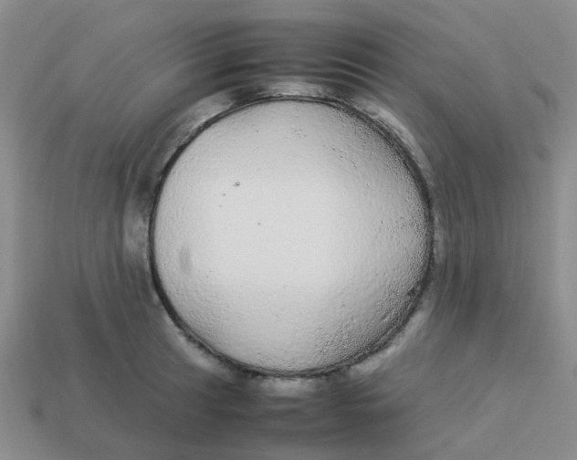 X0000113561041200910161452