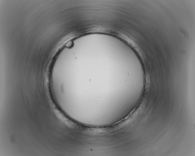 X0000113561042200910161452