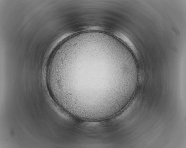 X0000113561043200910161452