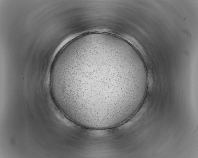 X0000113561044200910161452