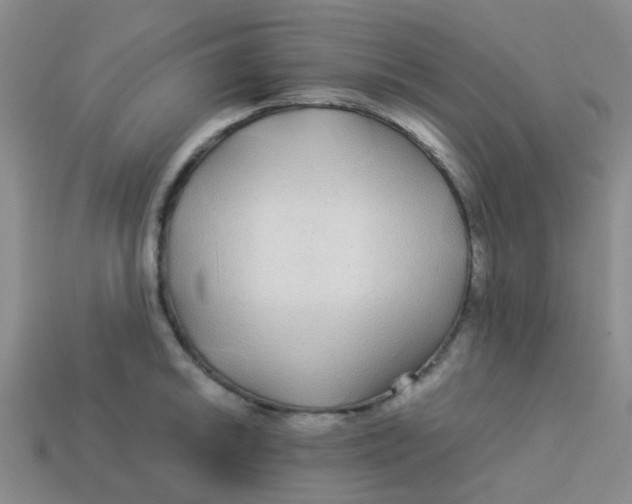 X0000113561046200910161452