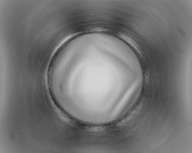 X0000113561047200910161452