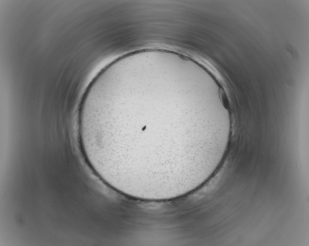 X0000113561048200910161452