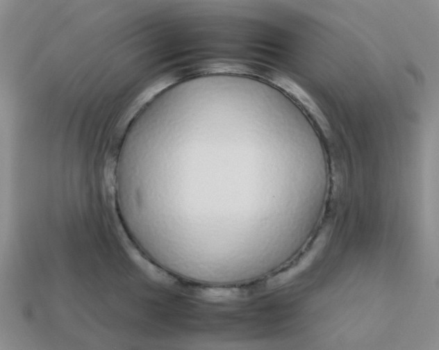 X0000113561049200910161452