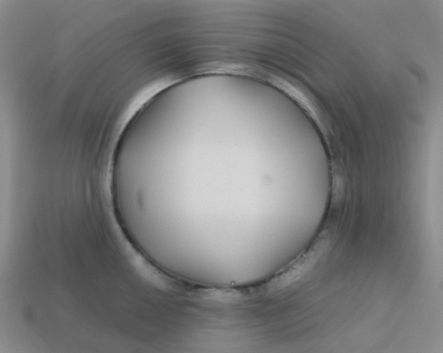 X0000113561050200910161452