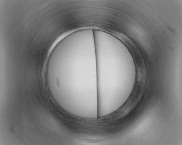 X0000113561052200910161452