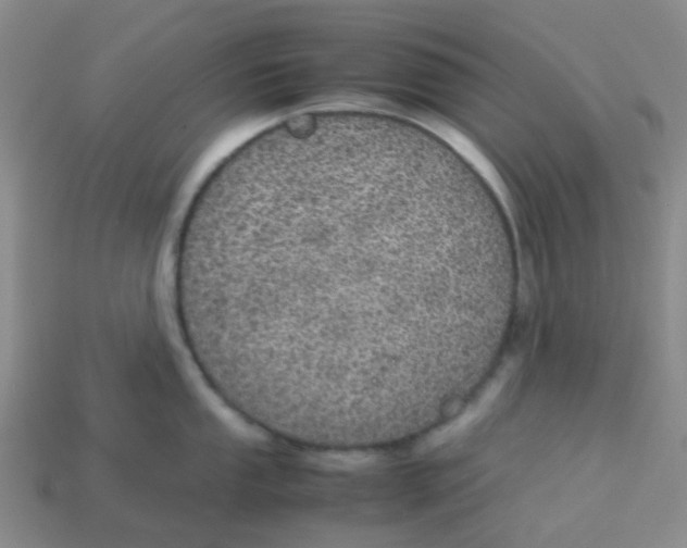 X0000113561053200910161452