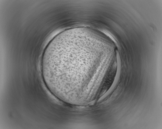 X0000113561055200910161452