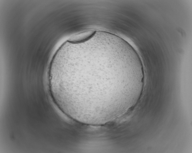 X0000113561056200910161452