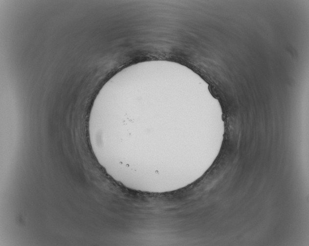 X0000113561057200910161452