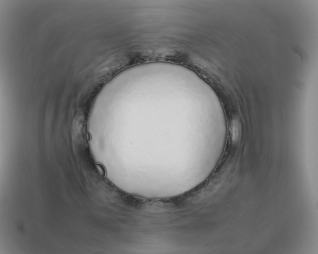 X0000113561059200910161451
