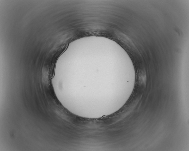 X0000113561060200910161451