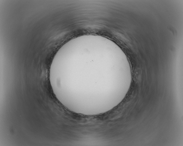 X0000113561061200910161451