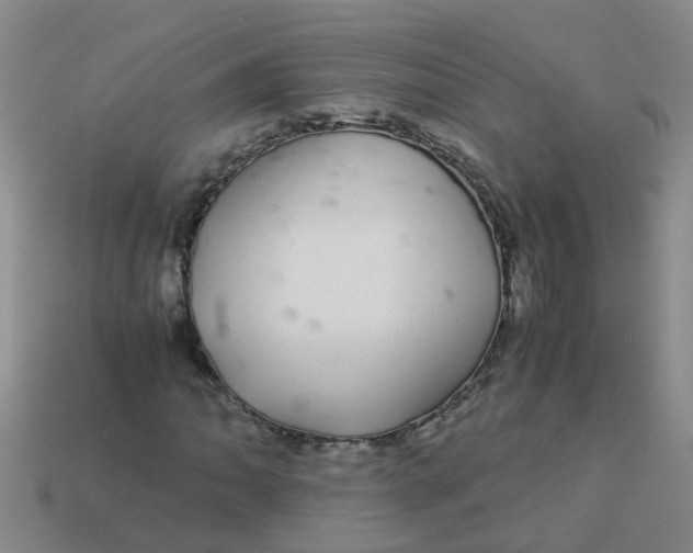 X0000113561062200910161451