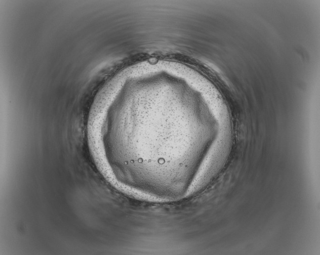X0000113561063200910161451