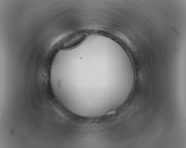 X0000113561064200910161451