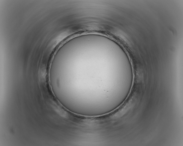 X0000113561065200910161451
