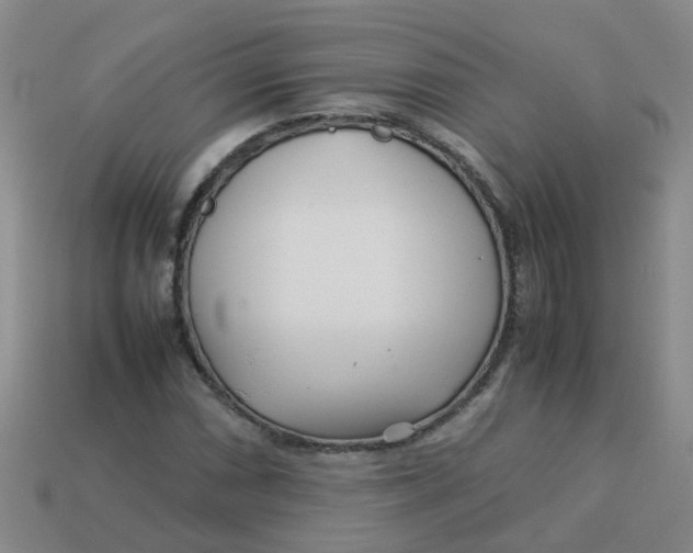 X0000113561066200910161451
